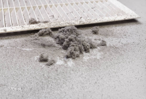 Best Home Air Vent Cleaning  in Winter Haven, FL