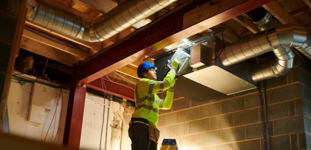 Best Air Duct Mold Removal  in Winter Haven, FL