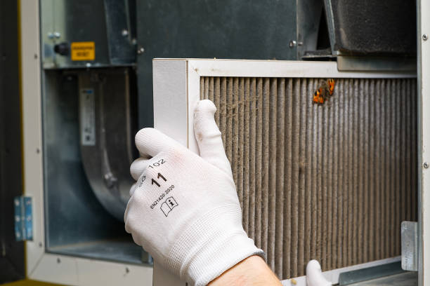 Home Air Vent Cleaning in Winter Haven, FL